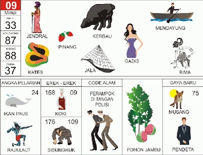 buku mimpi erek erek togel 09